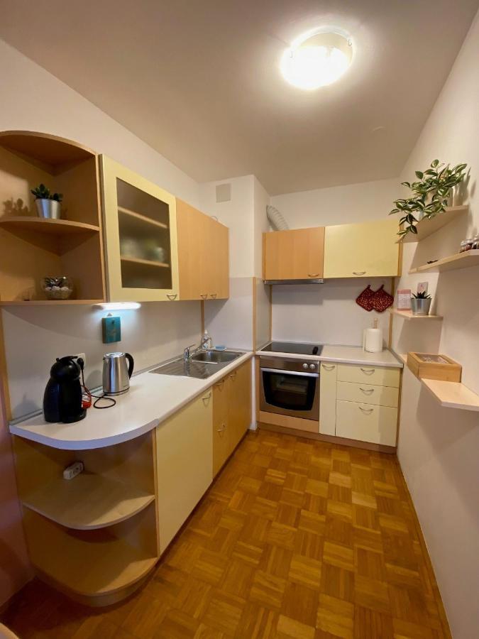 Apartma Felicija Ljubljana Dış mekan fotoğraf