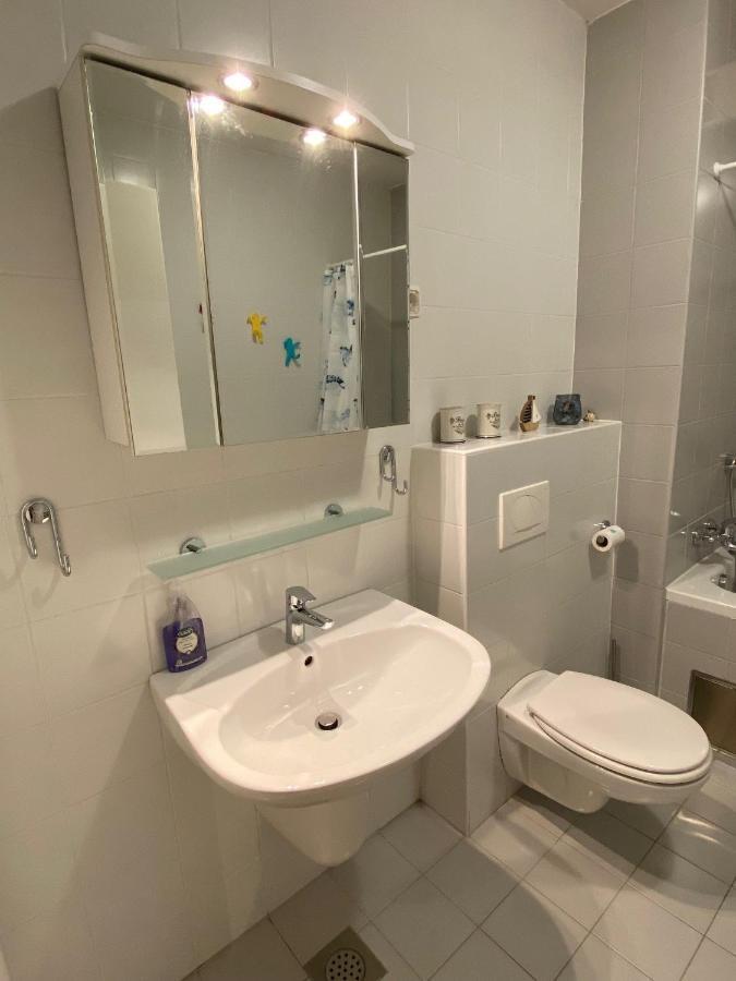 Apartma Felicija Ljubljana Dış mekan fotoğraf